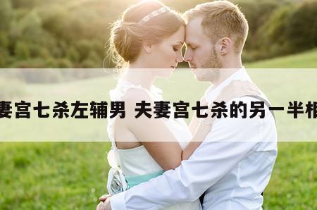 夫妻宫七杀左辅男 夫妻宫七杀的另一半相貌