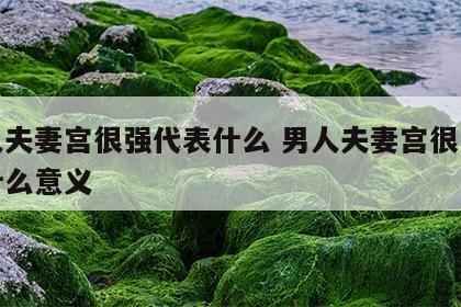 男人夫妻宫很强代表什么 男人夫妻宫很强代表什么意义