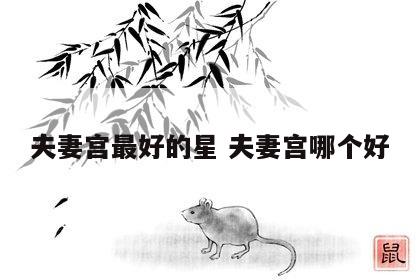 夫妻宫最好的星 夫妻宫哪个好