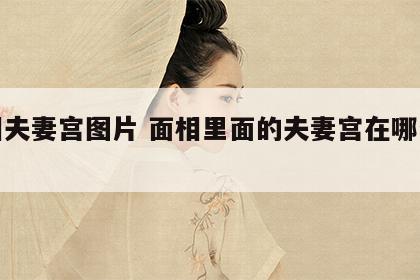 面相夫妻宫图片 面相里面的夫妻宫在哪个位置
