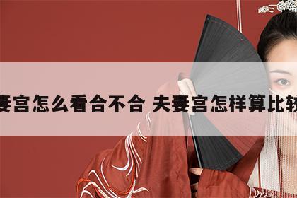 夫妻宫怎么看合不合 夫妻宫怎样算比较好