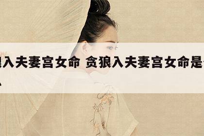 贪狼入夫妻宫女命 贪狼入夫妻宫女命是什么意思