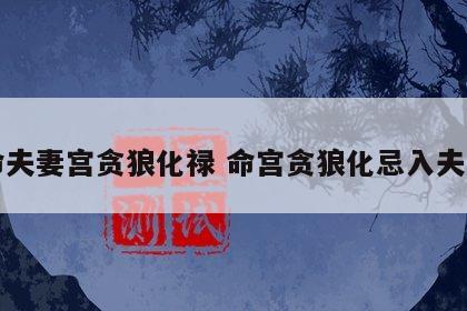 女命夫妻宫贪狼化禄 命宫贪狼化忌入夫妻宫