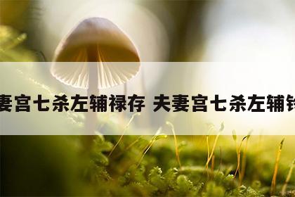 夫妻宫七杀左辅禄存 夫妻宫七杀左辅铃星