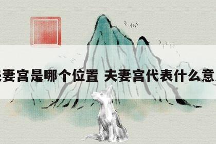 夫妻宫是哪个位置 夫妻宫代表什么意思
