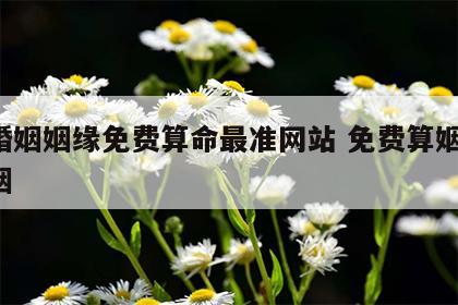 算婚姻姻缘免费算命最准网站 免费算姻缘 婚姻