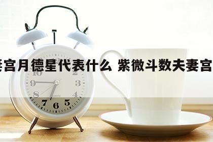 夫妻宫月德星代表什么 紫微斗数夫妻宫有月德