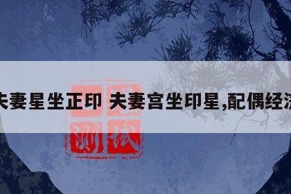 夫妻星坐正印 夫妻宫坐印星,配偶经济