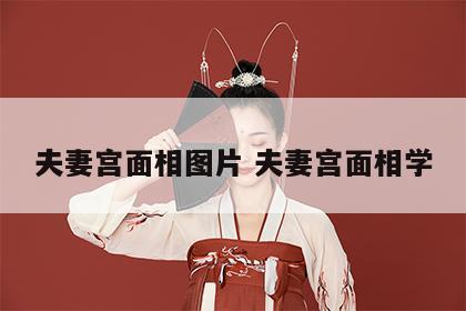 夫妻宫面相图片 夫妻宫面相学