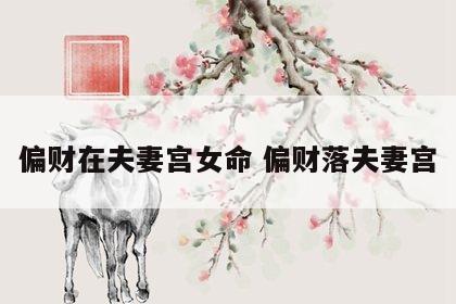 偏财在夫妻宫女命 偏财落夫妻宫