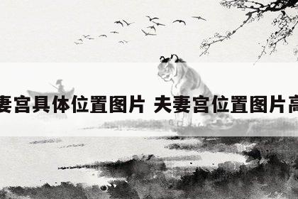夫妻宫具体位置图片 夫妻宫位置图片高清