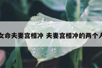 女命夫妻宫相冲 夫妻宫相冲的两个人