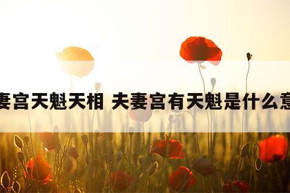 夫妻宫天魁天相 夫妻宫有天魁是什么意思