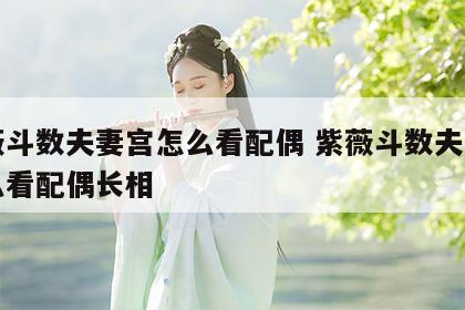 紫薇斗数夫妻宫怎么看配偶 紫薇斗数夫妻宫怎么看配偶长相