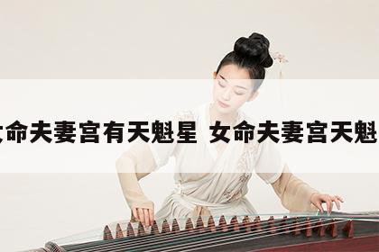 女命夫妻宫有天魁星 女命夫妻宫天魁旺