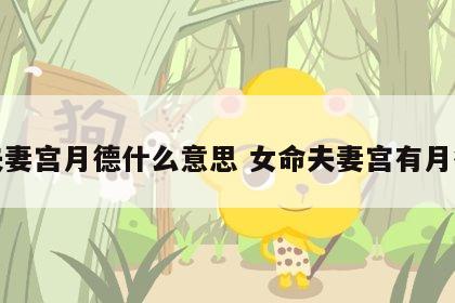 夫妻宫月德什么意思 女命夫妻宫有月德