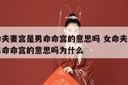 女命夫妻宫是男命命宫的意思吗 女命夫妻宫是男命命宫的意思吗为什么