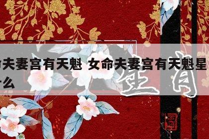 女命夫妻宫有天魁 女命夫妻宫有天魁星意味着什么