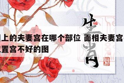 面相上的夫妻宫在哪个部位 面相夫妻宫在什么位置宫不好的图