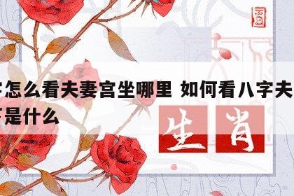 八字怎么看夫妻宫坐哪里 如何看八字夫妻宫坐下是什么