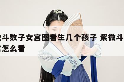 紫微斗数子女宫图看生几个孩子 紫微斗数子女宫怎么看