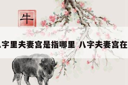 八字里夫妻宫是指哪里 八字夫妻宫在哪