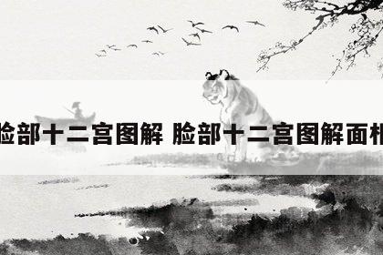 脸部十二宫图解 脸部十二宫图解面相