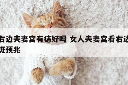 女右边夫妻宫有痣好吗 女人夫妻宫看右边长色斑预兆
