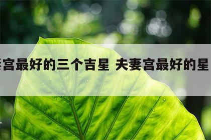 夫妻宫最好的三个吉星 夫妻宫最好的星是什么