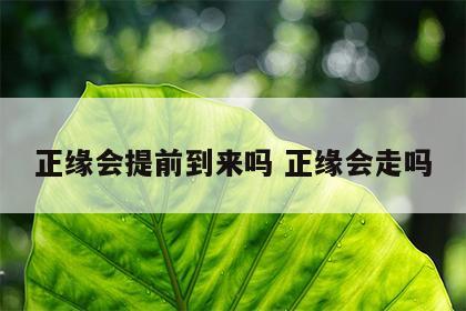 正缘会提前到来吗 正缘会走吗