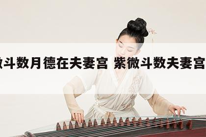 紫微斗数月德在夫妻宫 紫微斗数夫妻宫有月德