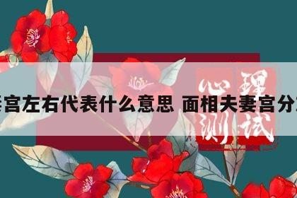 夫妻宫左右代表什么意思 面相夫妻宫分左右