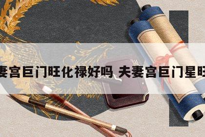夫妻宫巨门旺化禄好吗 夫妻宫巨门星旺禄