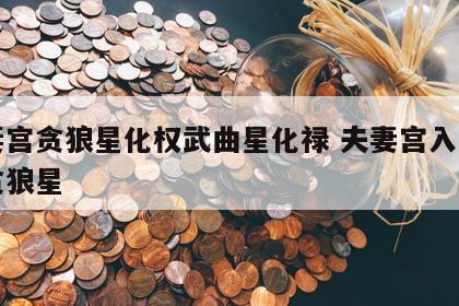 夫妻宫贪狼星化权武曲星化禄 夫妻宫入武曲星贪狼星