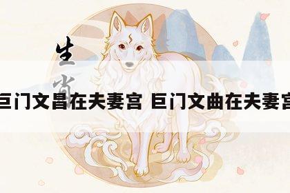 巨门文昌在夫妻宫 巨门文曲在夫妻宫