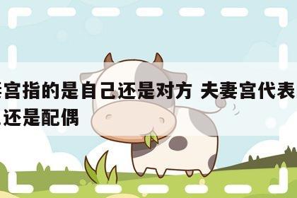 夫妻宫指的是自己还是对方 夫妻宫代表的是自己还是配偶