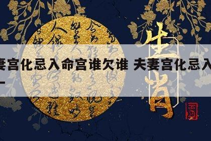夫妻宫化忌入命宫谁欠谁 夫妻宫化忌入命 专一