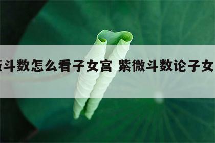紫薇斗数怎么看子女宫 紫微斗数论子女宫吉凶