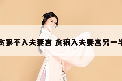 贪狼平入夫妻宫 贪狼入夫妻宫另一半