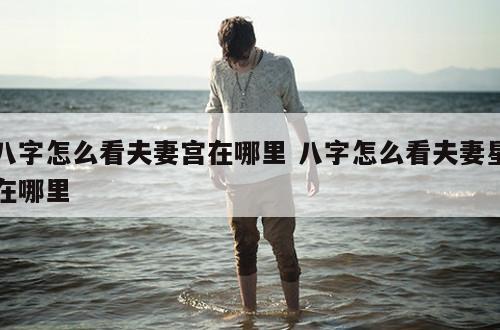 八字怎么看夫妻宫在哪里 八字怎么看夫妻星在哪里