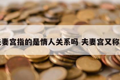 夫妻宫指的是情人关系吗 夫妻宫又称为