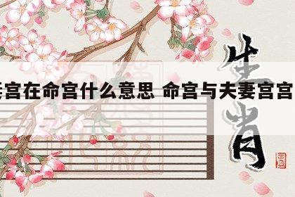 夫妻宫在命宫什么意思 命宫与夫妻宫宫干相同