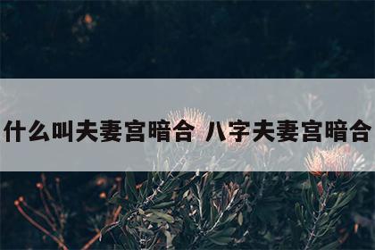 什么叫夫妻宫暗合 八字夫妻宫暗合
