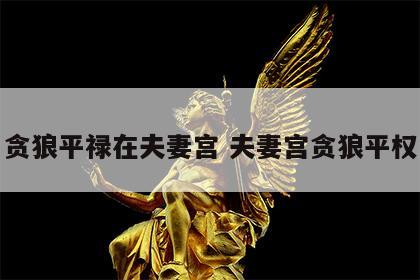 贪狼平禄在夫妻宫 夫妻宫贪狼平权