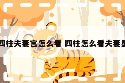 四柱夫妻宫怎么看 四柱怎么看夫妻星