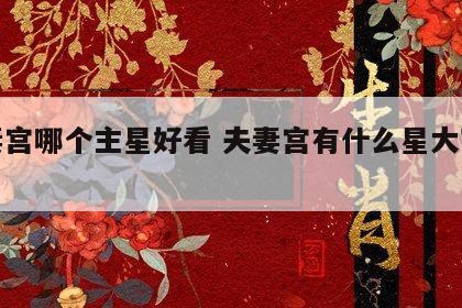 夫妻宫哪个主星好看 夫妻宫有什么星大富大贵