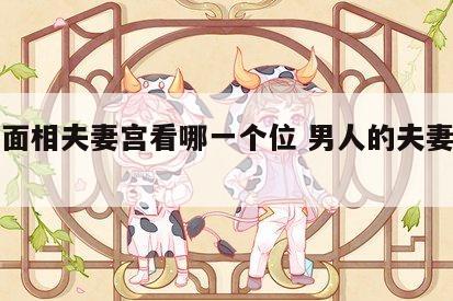 男人面相夫妻宫看哪一个位 男人的夫妻宫准吗
