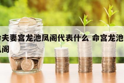 女命夫妻宫龙池凤阁代表什么 命宫龙池夫妻宫凤阁