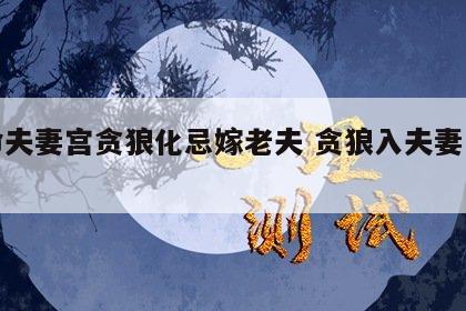女命夫妻宫贪狼化忌嫁老夫 贪狼入夫妻宫化权