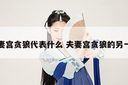 夫妻宫贪狼代表什么 夫妻宫贪狼的另一半